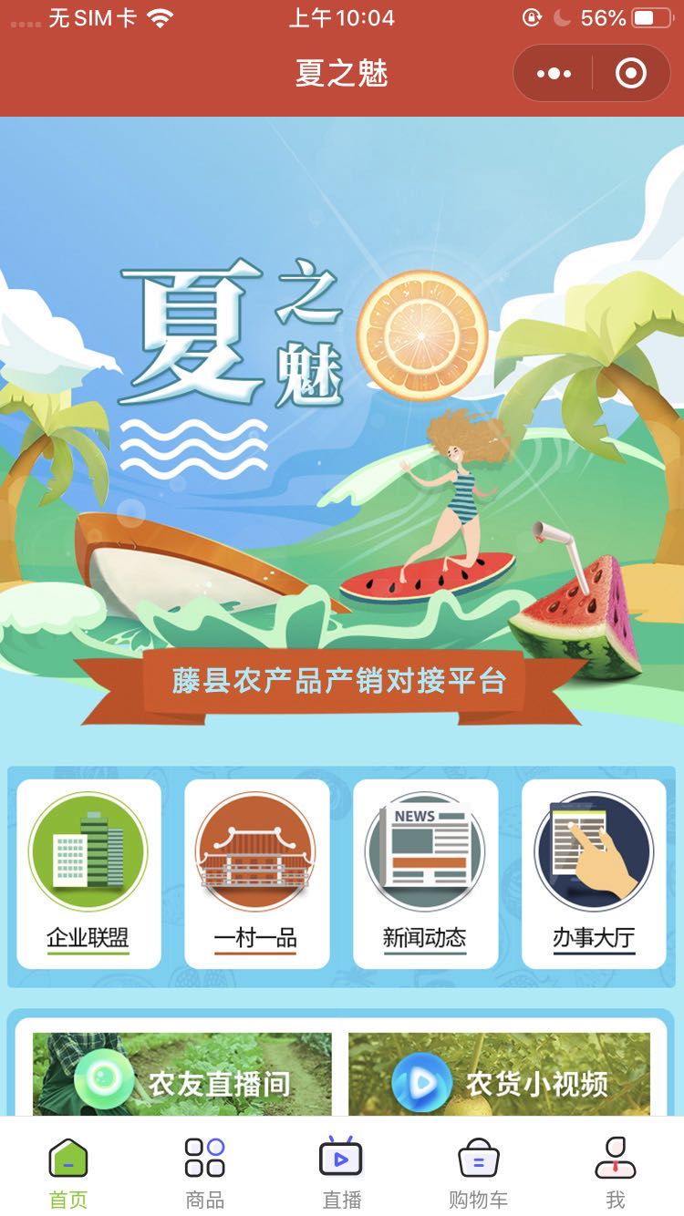 案例详情图片